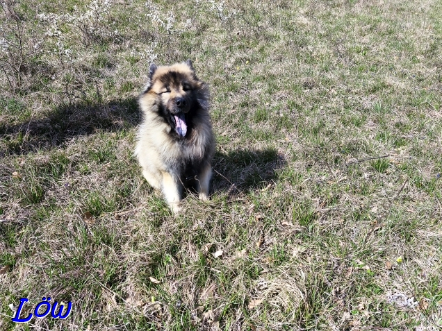 11.4.2025 - Dwix wartet schon